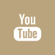 youtube icon